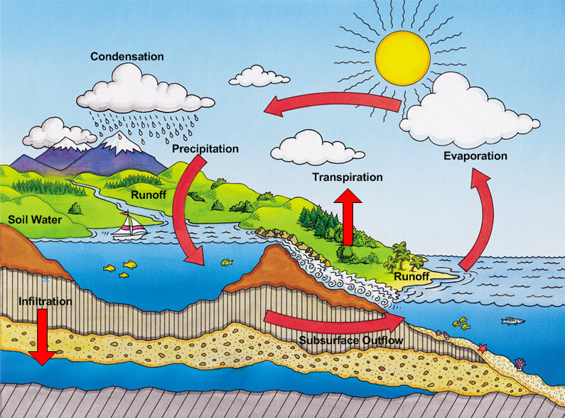 The Water Cycle - The Importance of Water